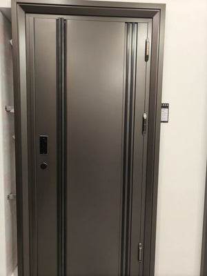 Modern Stainless Steel Security Entrance Door TSE-001